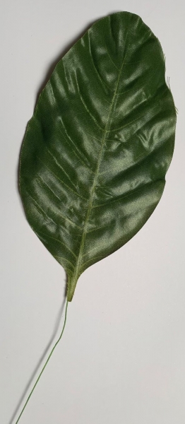Blatt grün, länglich-abgerundet